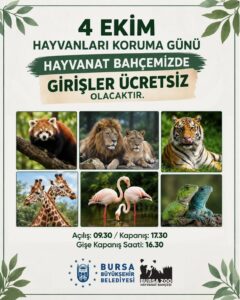 Büyükşehir’den hayvanseverlere jest: Hayvanat Bahçesi’ne 4 Ekim’de giriş ücretsiz