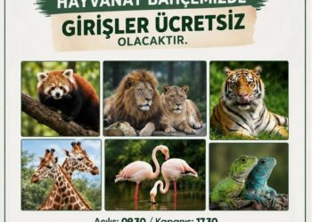4 Ekim Hayvanları Koruma Günü Bursa Hayvanat Bahçesi ücretsiz giriş afişi