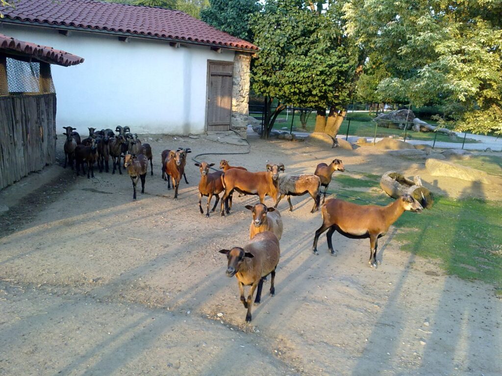 Bursa Hayvanat Bahçesi