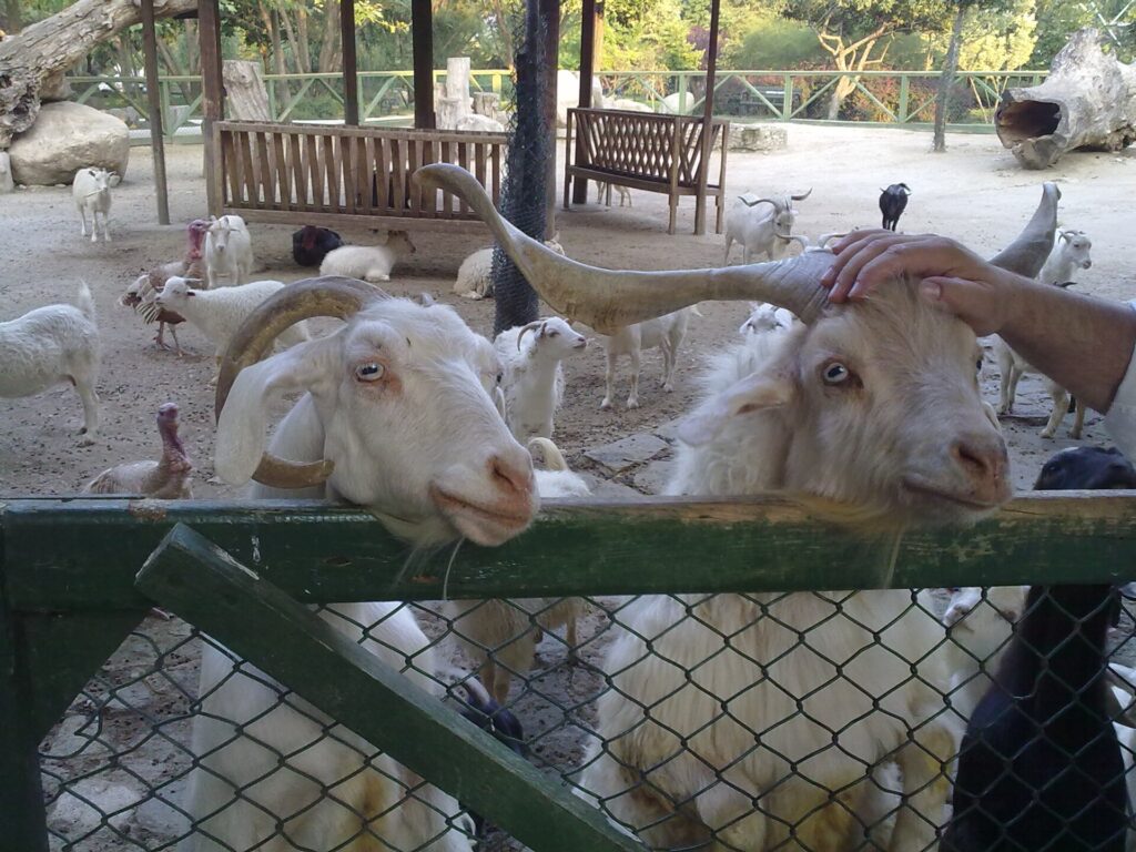 Bursa Hayvanat Bahçesi