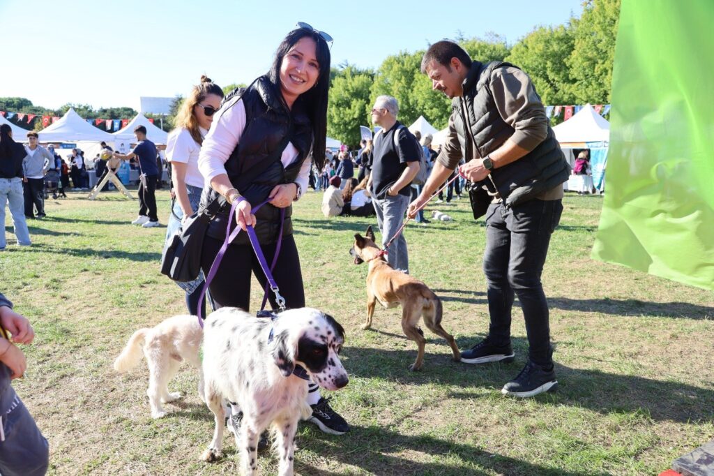 Şenlikte sahiplendirilen köpekler