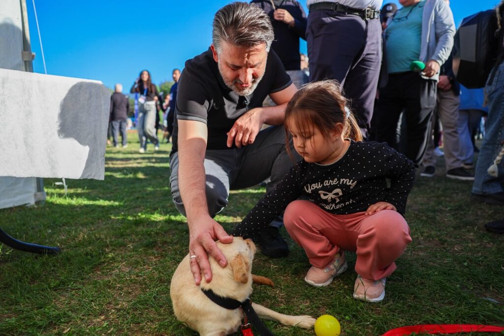 Bir çocuk şenlikte köpek seviyor